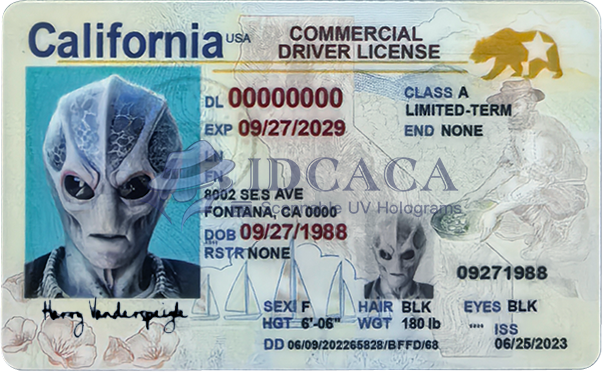 California CDL